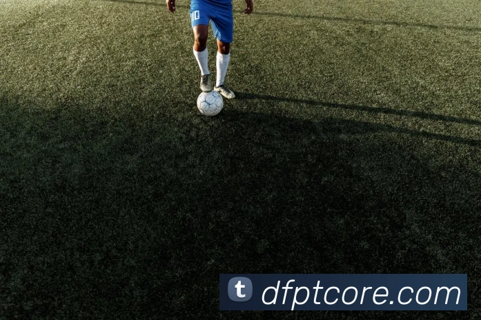 大发平台APP 封面图